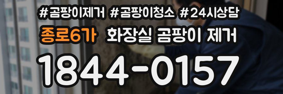 종로6가 화장실 곰팡이 제거