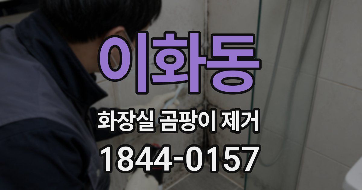 이화동 화장실 곰팡이 제거