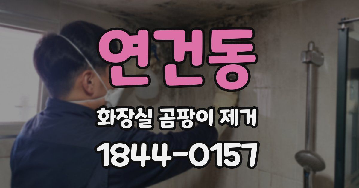 연건동 화장실 곰팡이 제거