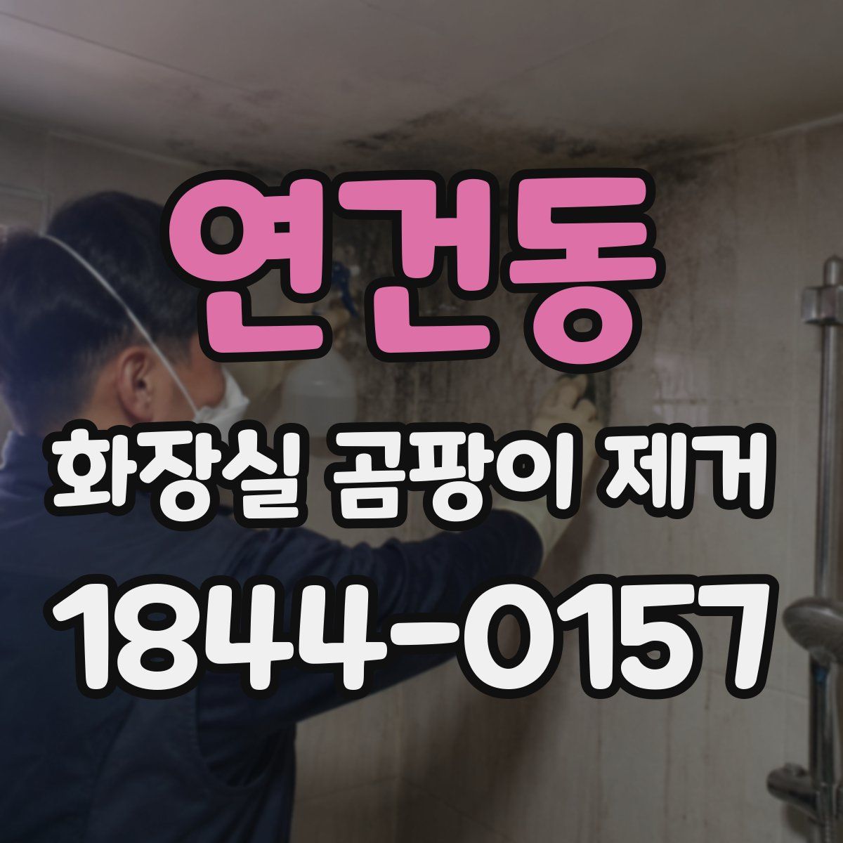 연건동 화장실 곰팡이 제거