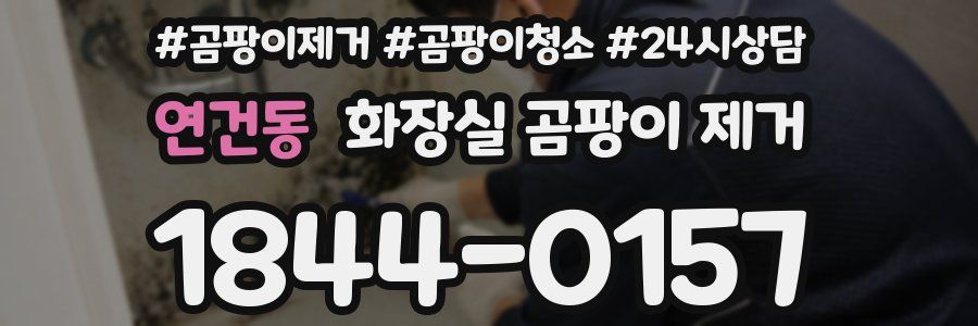 연건동 화장실 곰팡이 제거