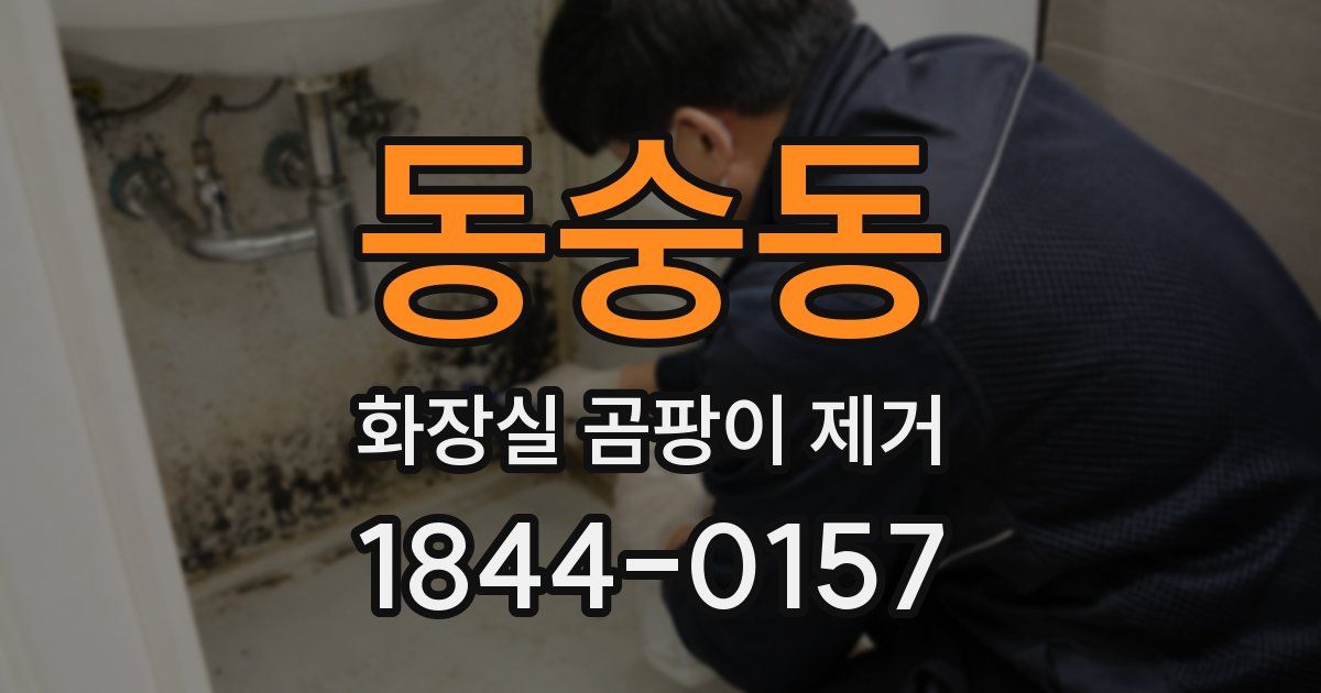 동숭동 화장실 곰팡이 제거