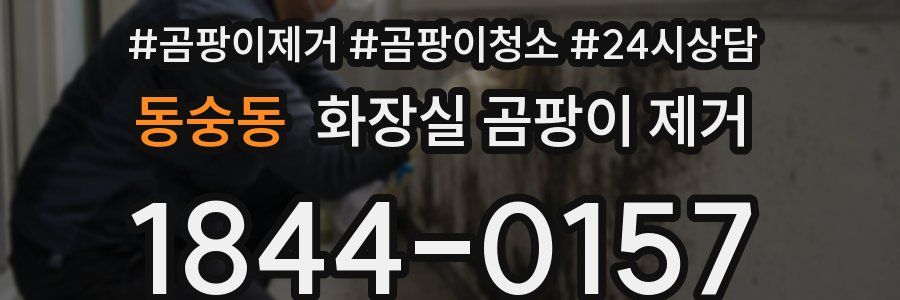 동숭동 화장실 곰팡이 제거