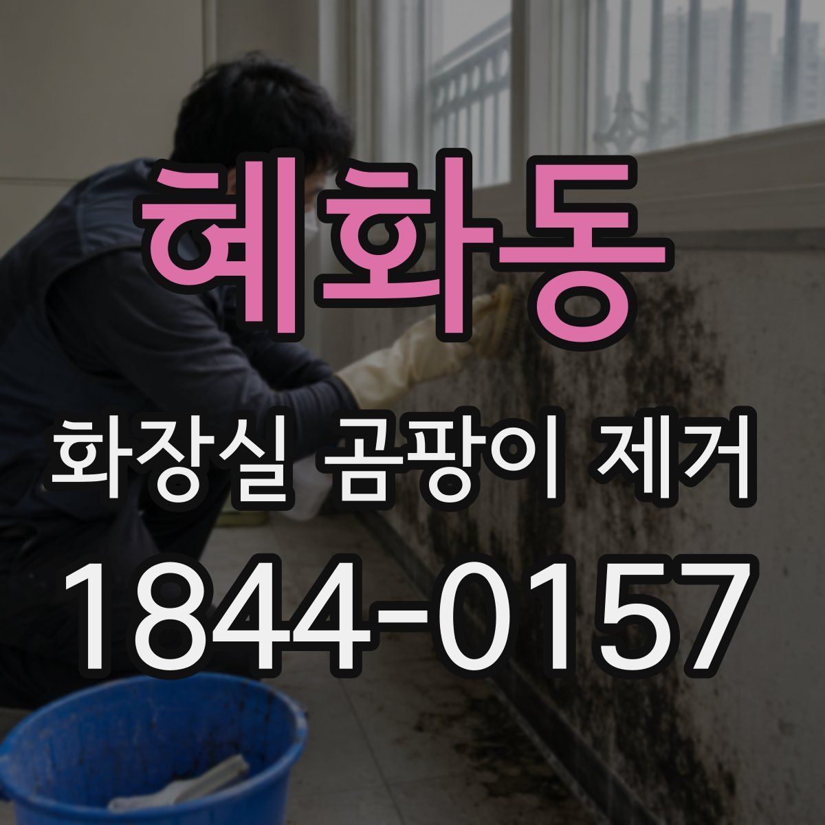 혜화동 화장실 곰팡이 제거