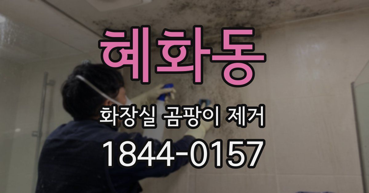 혜화동 화장실 곰팡이 제거