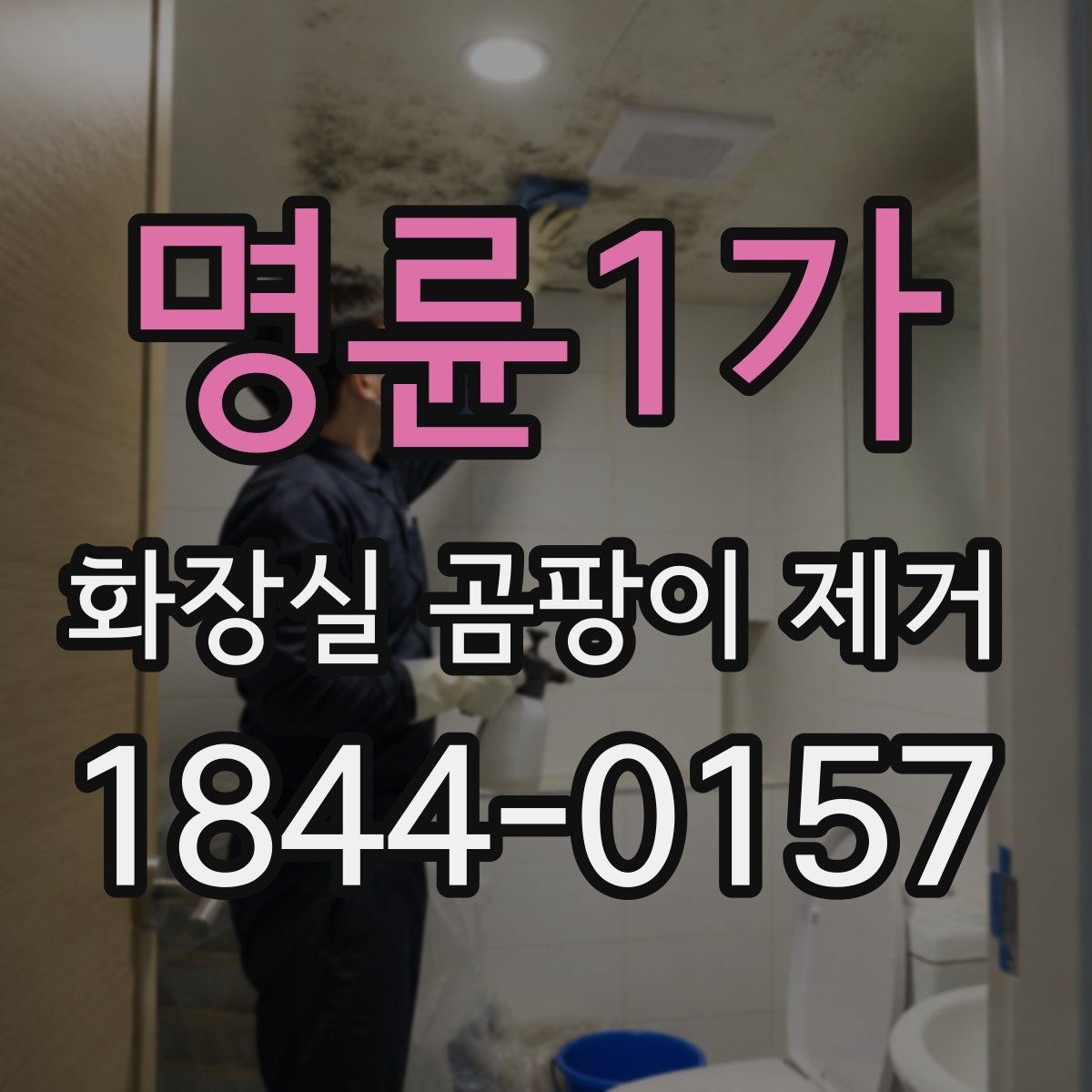 명륜1가 화장실 곰팡이 제거 바닥 배수 주변 오염을 줄이는 순서