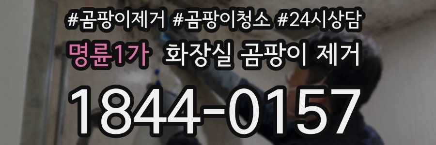 명륜1가 화장실 곰팡이 제거