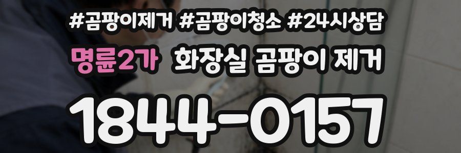 명륜2가 화장실 곰팡이 제거