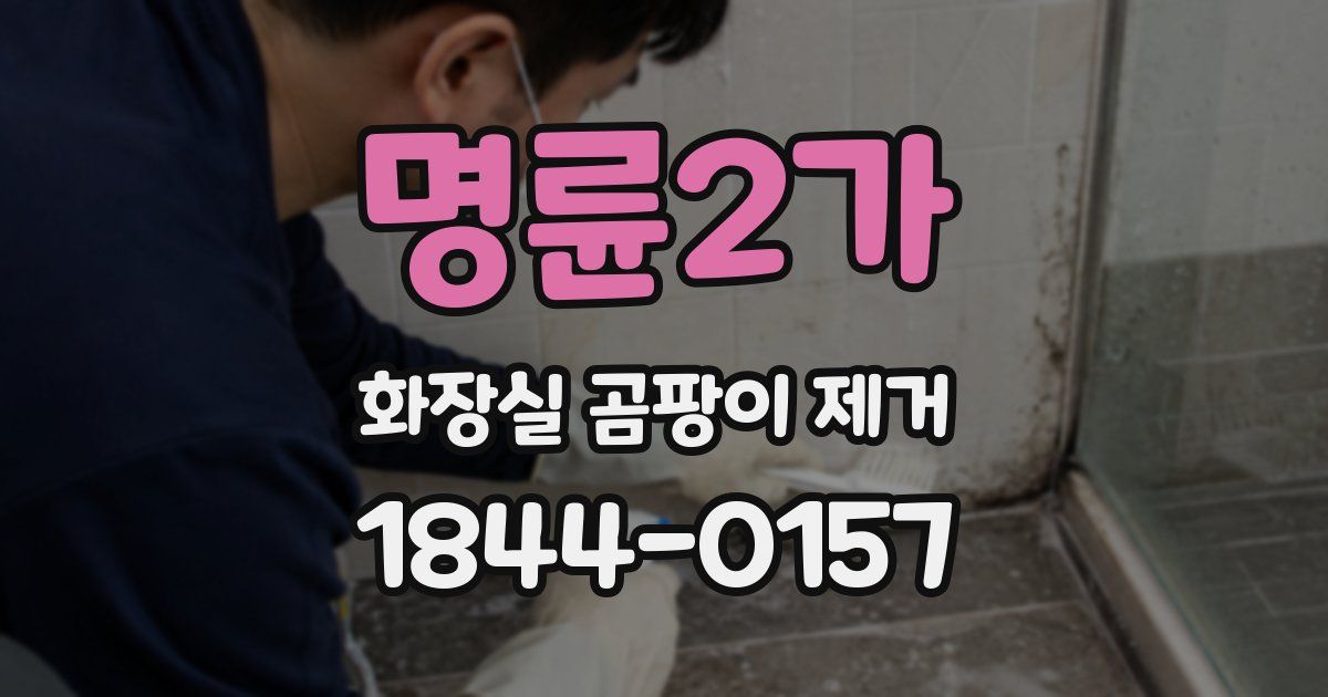 명륜2가 화장실 곰팡이 제거