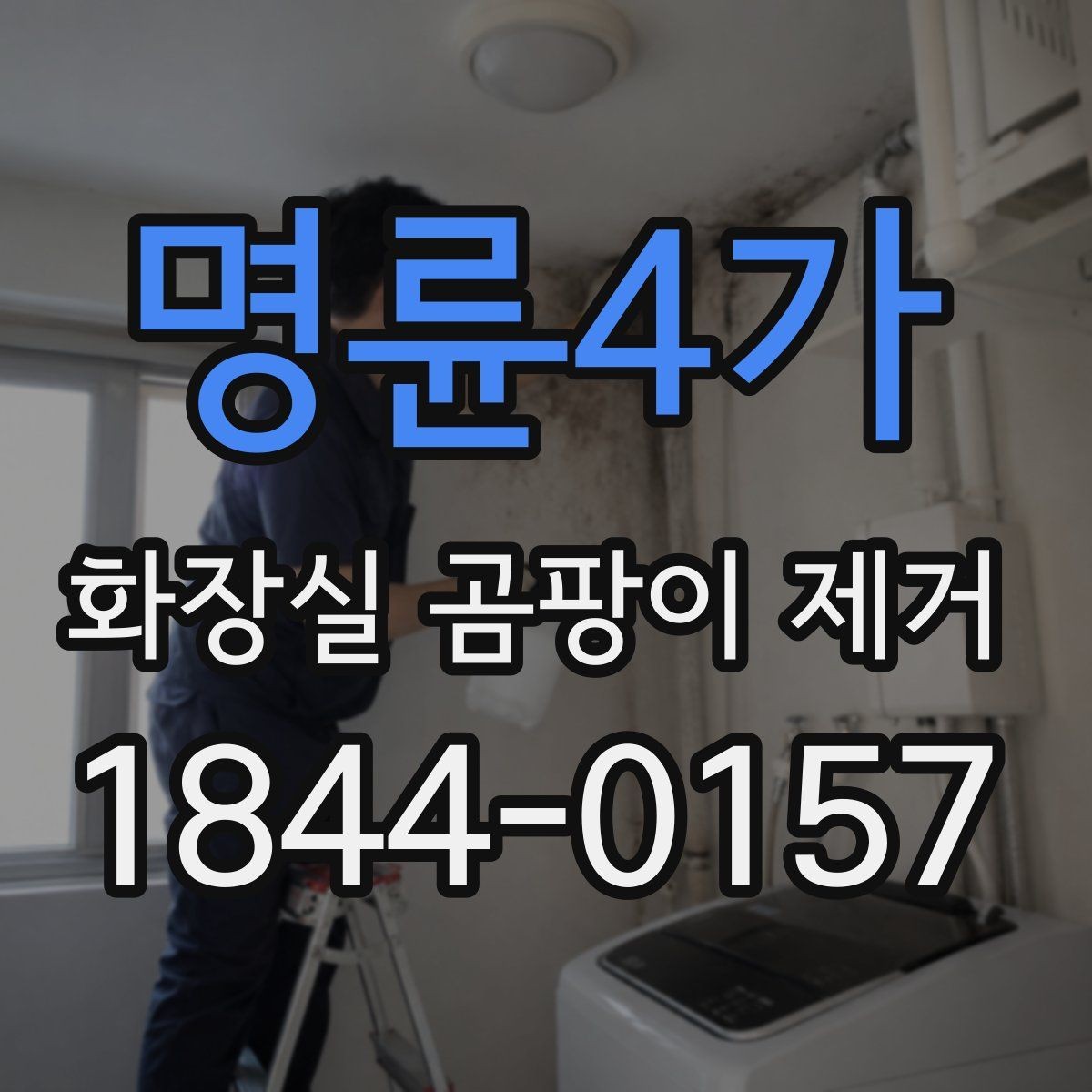 명륜4가 화장실 곰팡이 제거 줄눈 깊숙한 얼룩을 살피는 방법