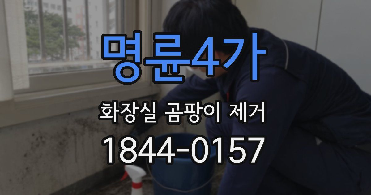 명륜4가 화장실 곰팡이 제거