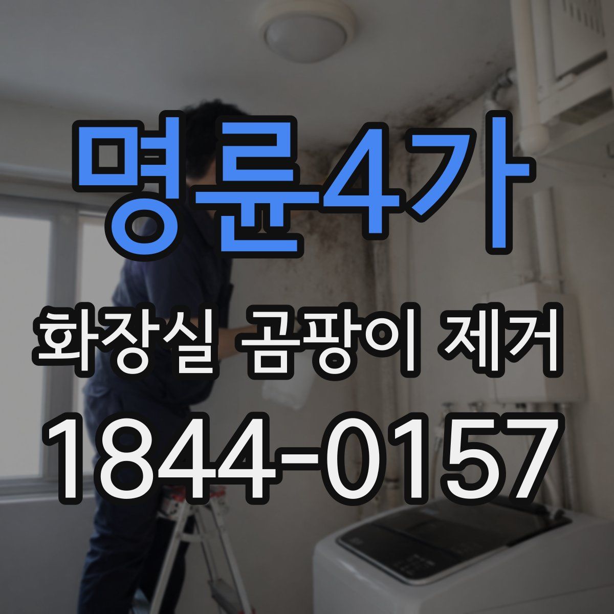 명륜4가 화장실 곰팡이 제거