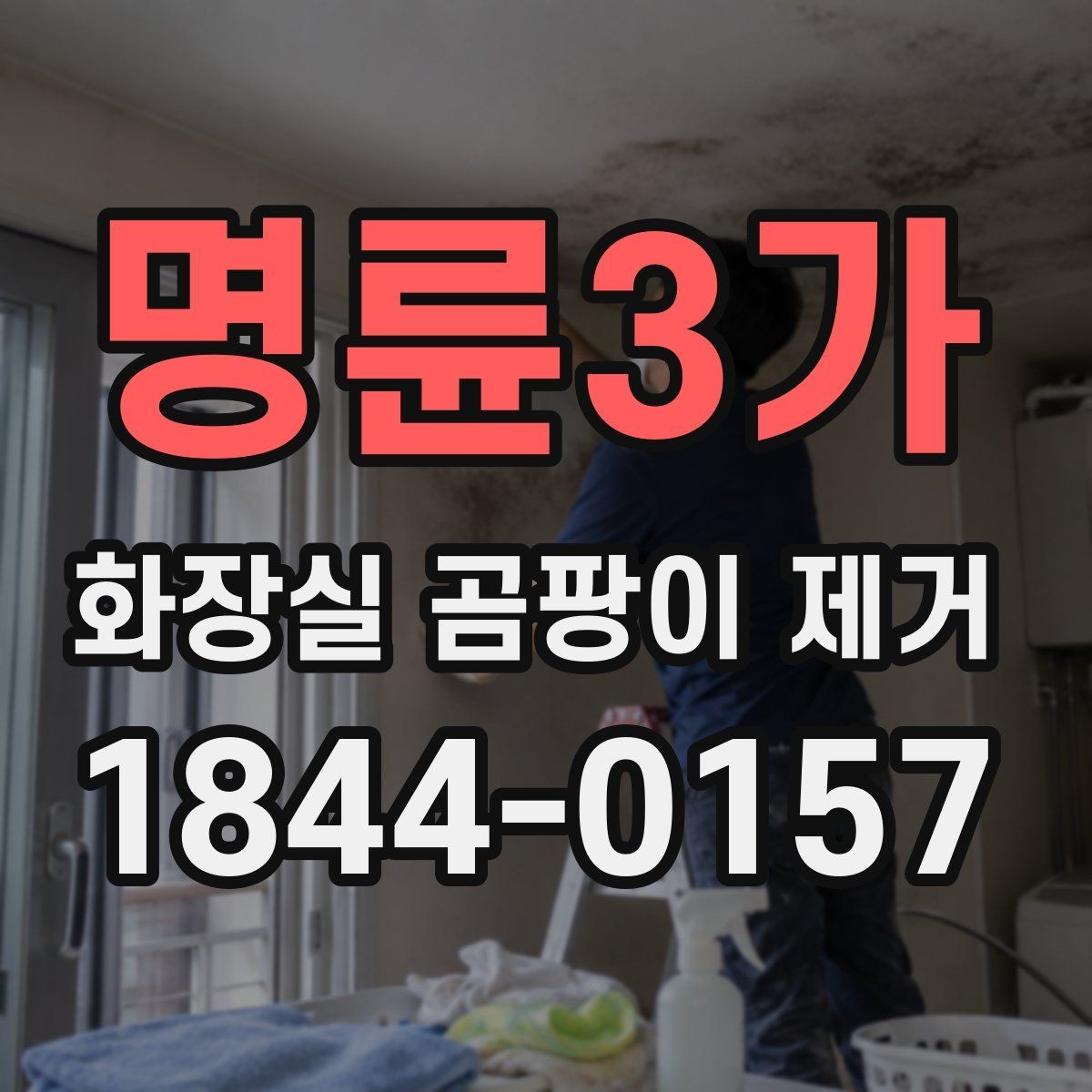 명륜3가 화장실 곰팡이 제거 전후 사진으로 보는 변화 포인트