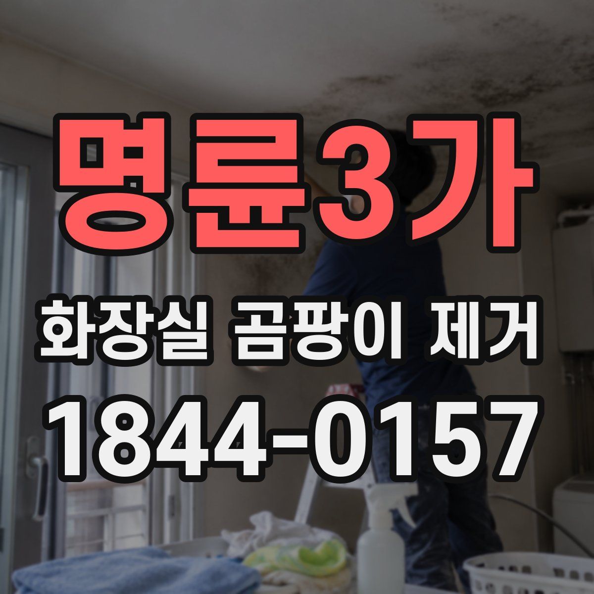 명륜3가 화장실 곰팡이 제거