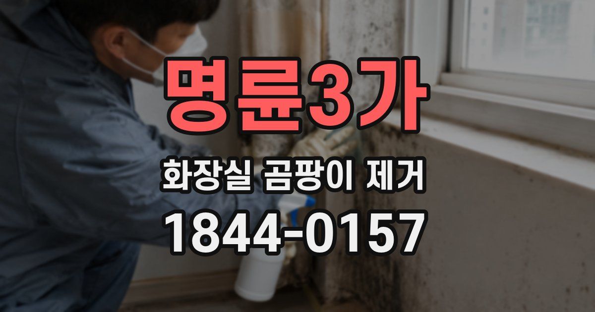 명륜3가 화장실 곰팡이 제거