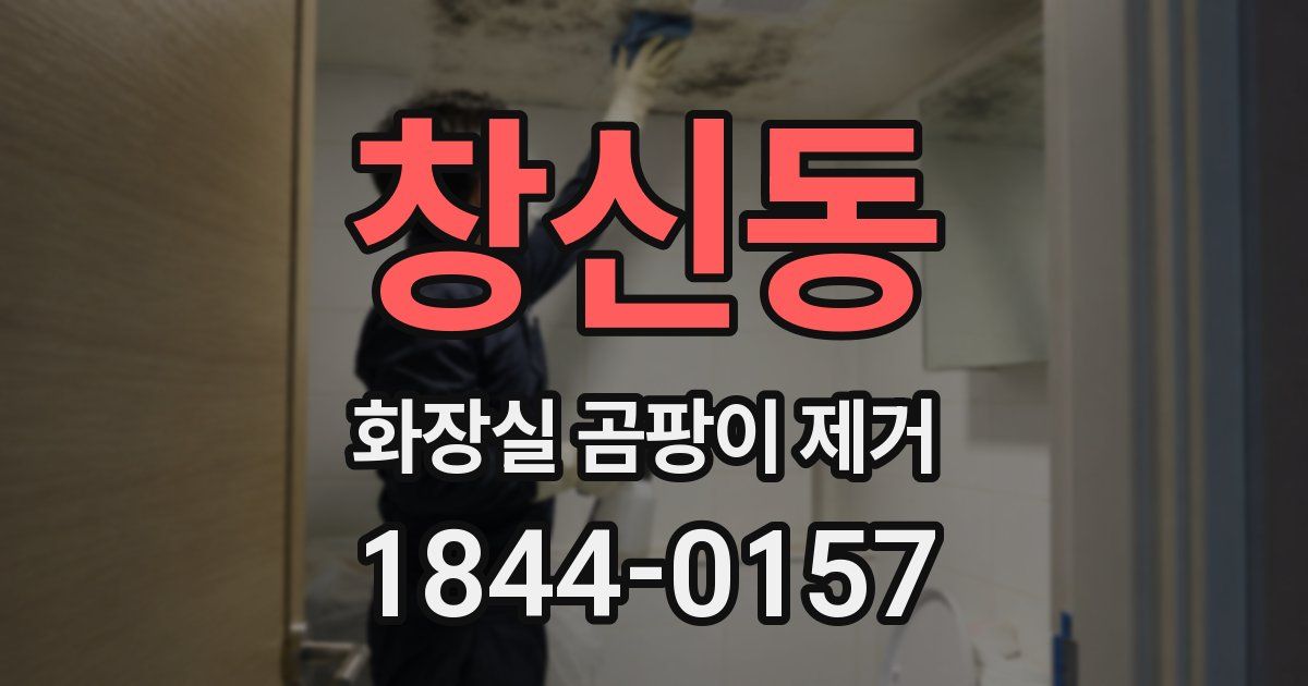 창신동 화장실 곰팡이 제거
