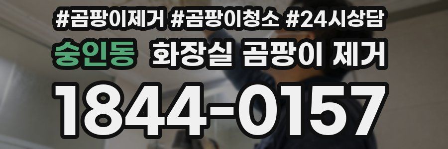 숭인동 화장실 곰팡이 제거