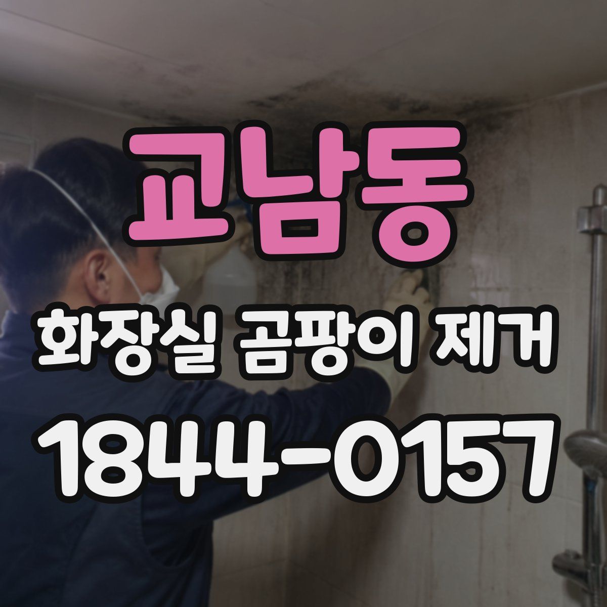 교남동 화장실 곰팡이 제거