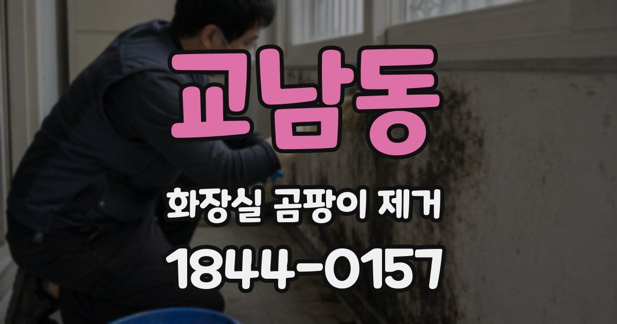 교남동 화장실 곰팡이 제거