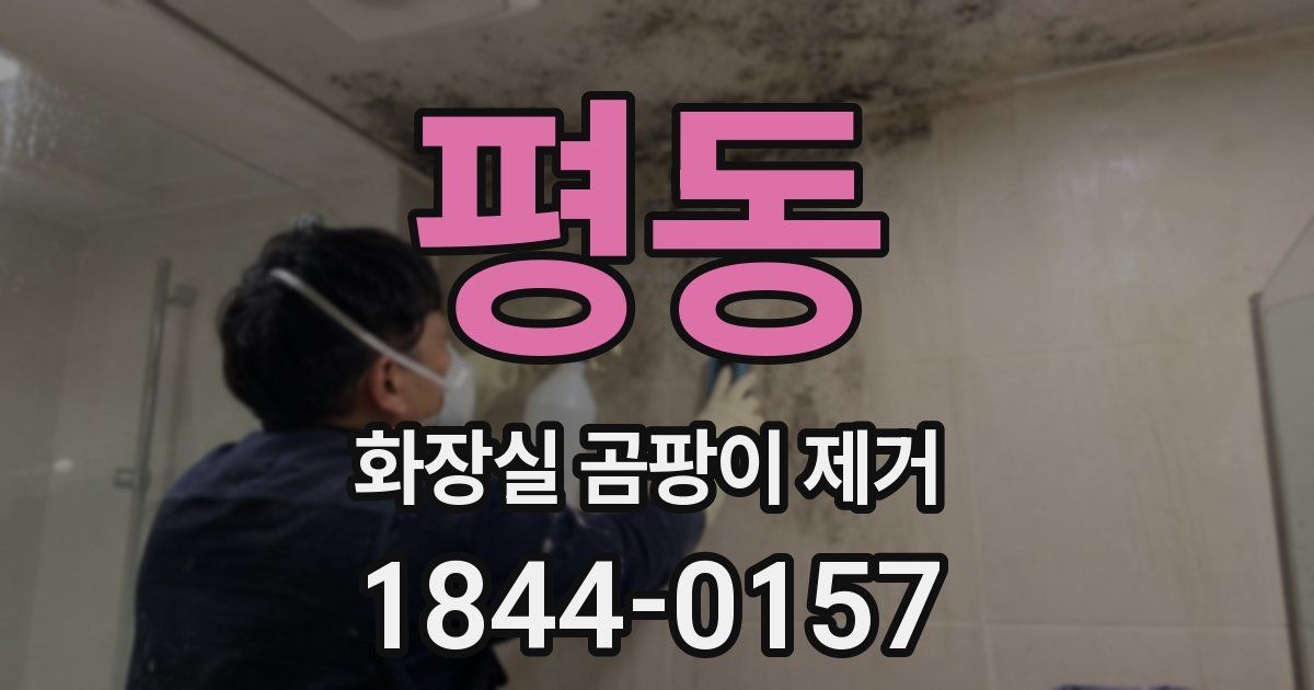 평동 화장실 곰팡이 제거