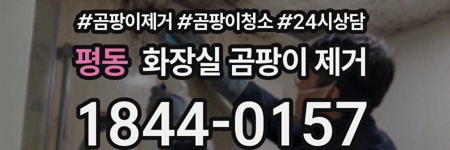 평동 화장실 곰팡이 제거