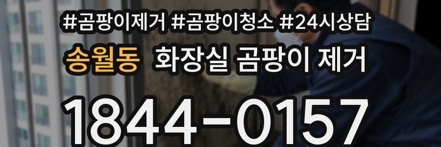 송월동 화장실 곰팡이 제거