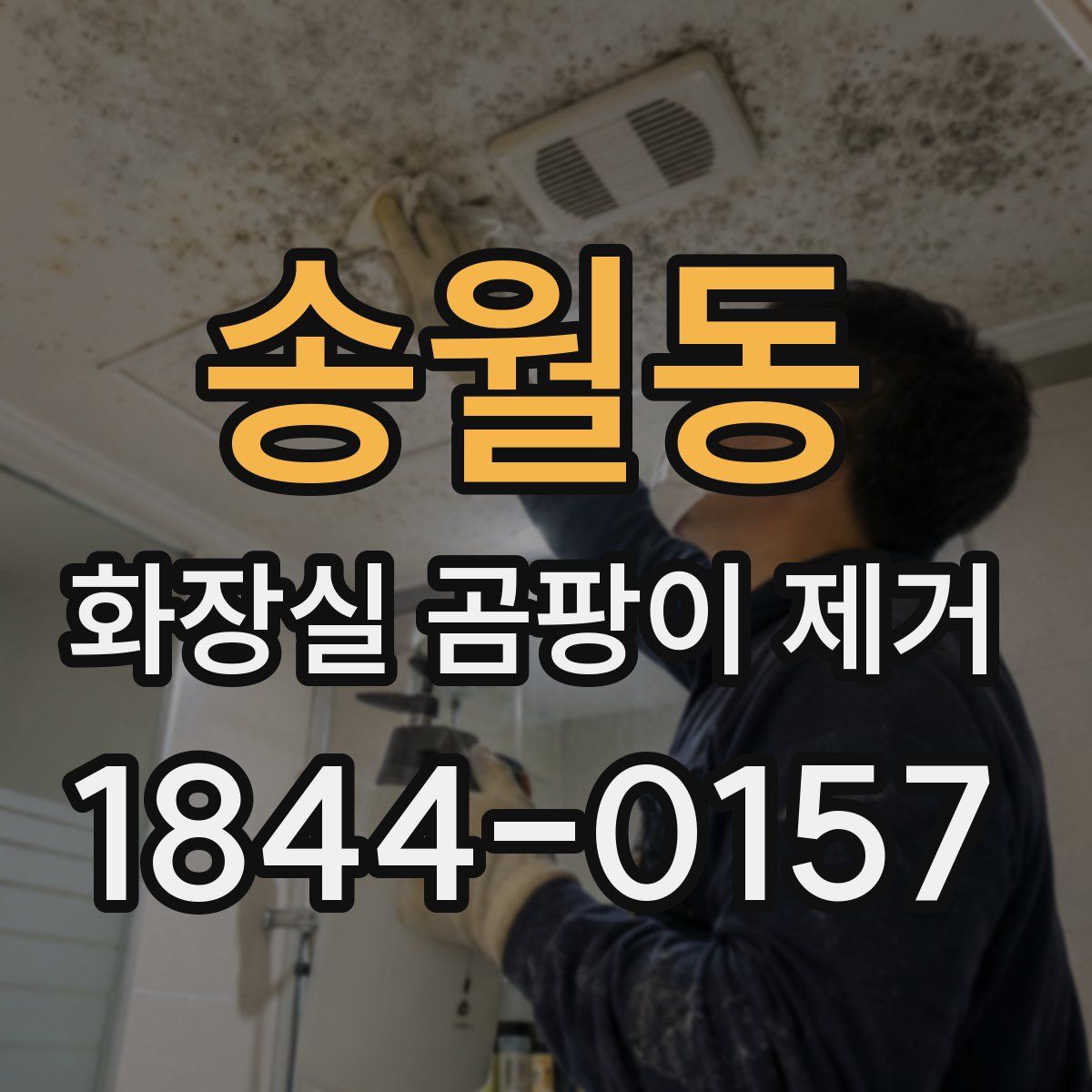 송월동 화장실 곰팡이 제거