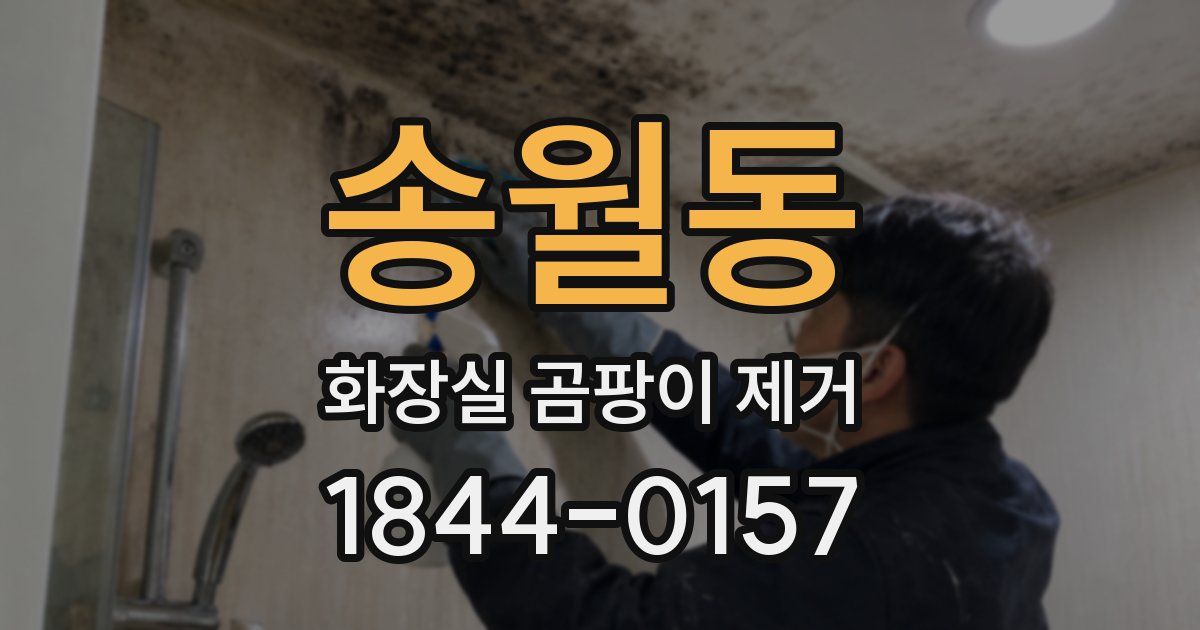 송월동 화장실 곰팡이 제거