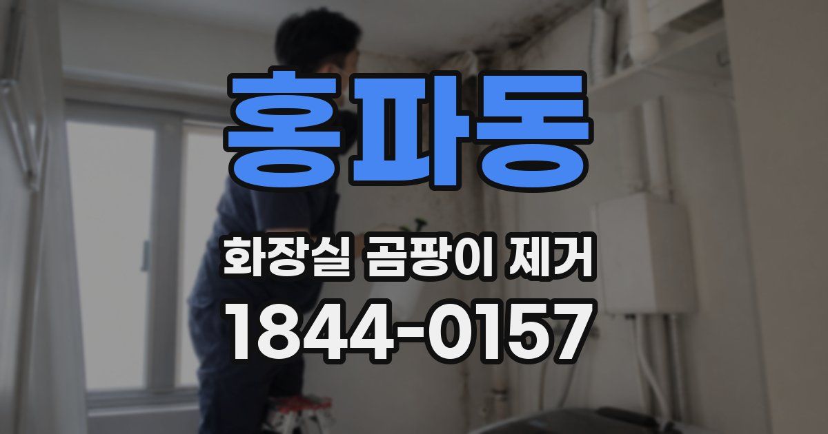 홍파동 화장실 곰팡이 제거