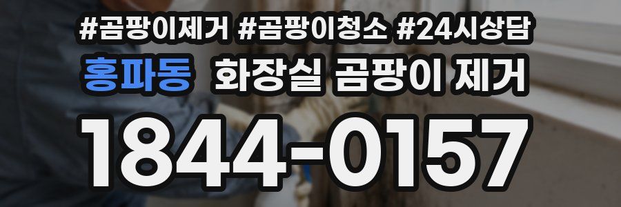 홍파동 화장실 곰팡이 제거