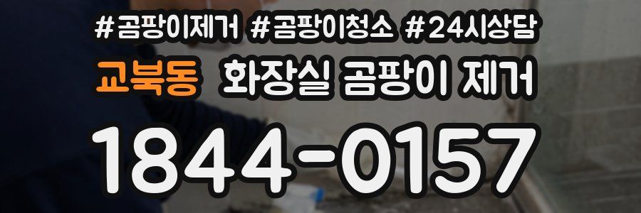 교북동 화장실 곰팡이 제거