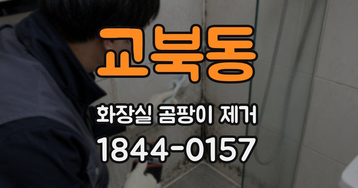 교북동 화장실 곰팡이 제거
