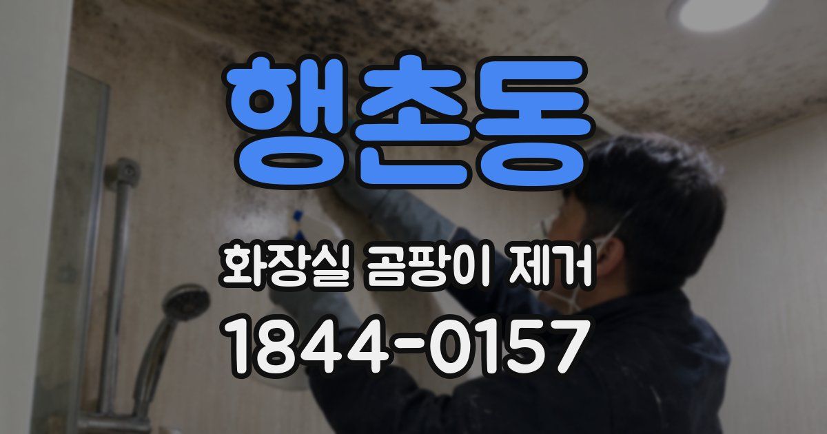 행촌동 화장실 곰팡이 제거