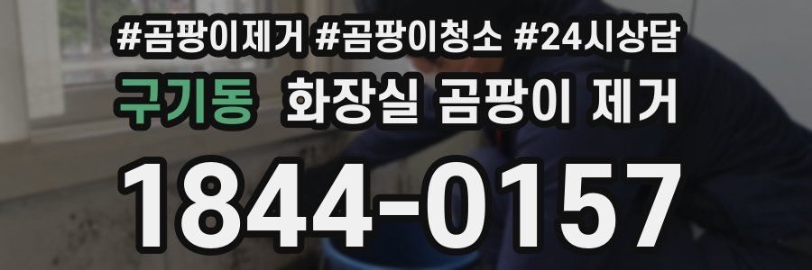 구기동 화장실 곰팡이 제거