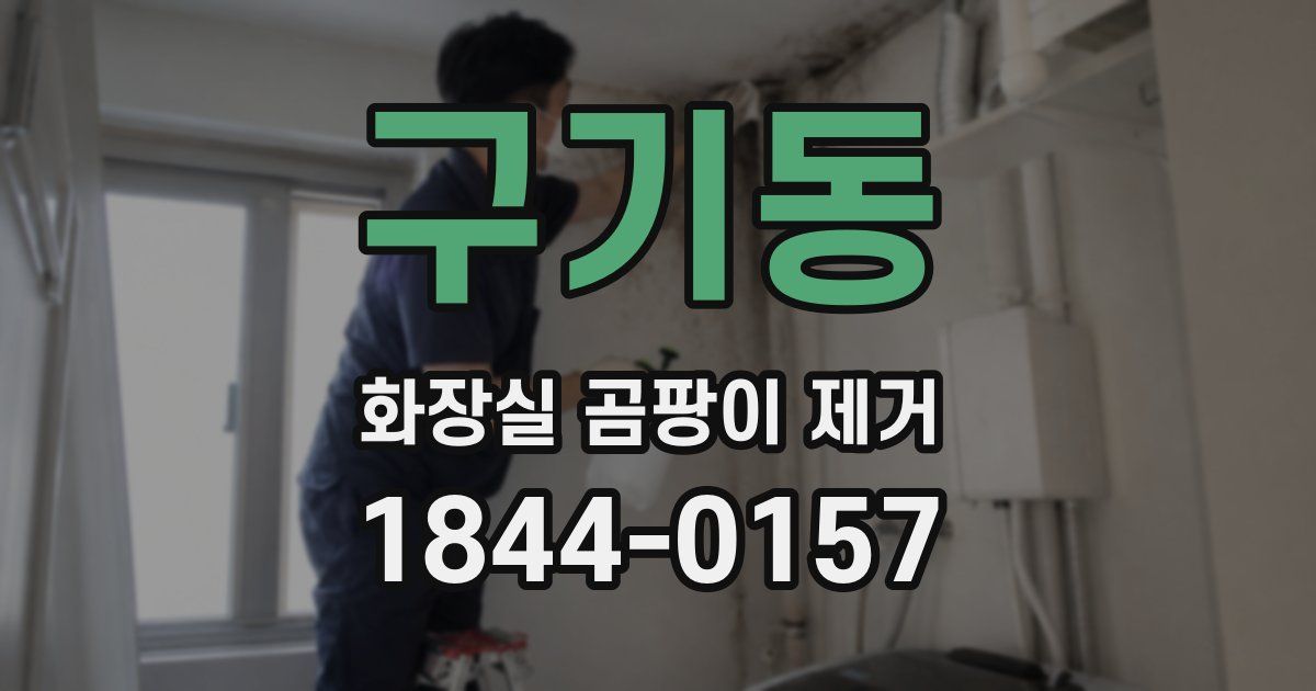 구기동 화장실 곰팡이 제거