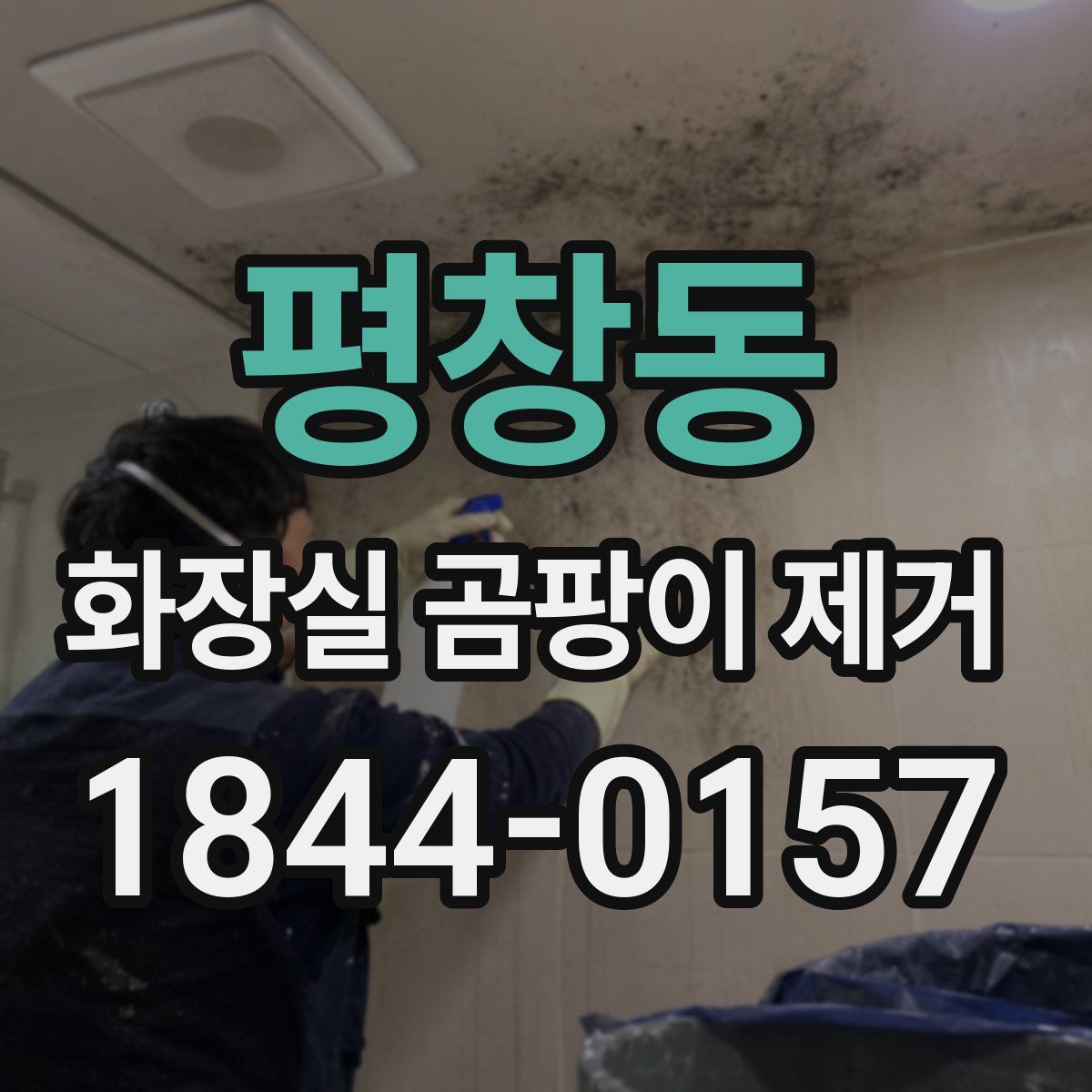 평창동 화장실 곰팡이 제거