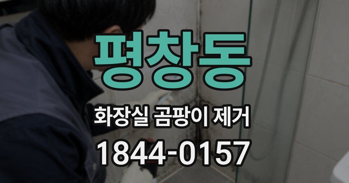 평창동 화장실 곰팡이 제거