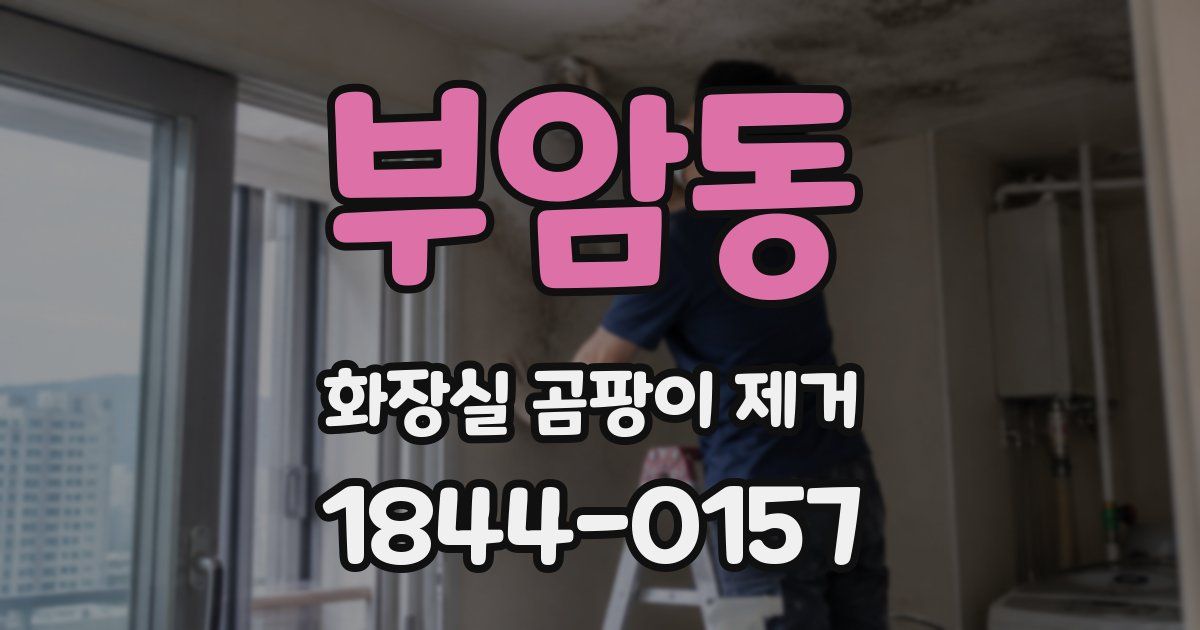 부암동 화장실 곰팡이 제거