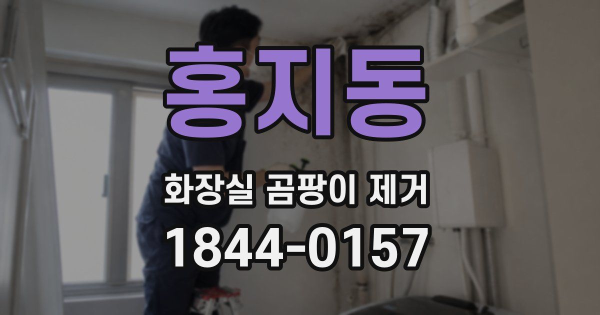 홍지동 화장실 곰팡이 제거