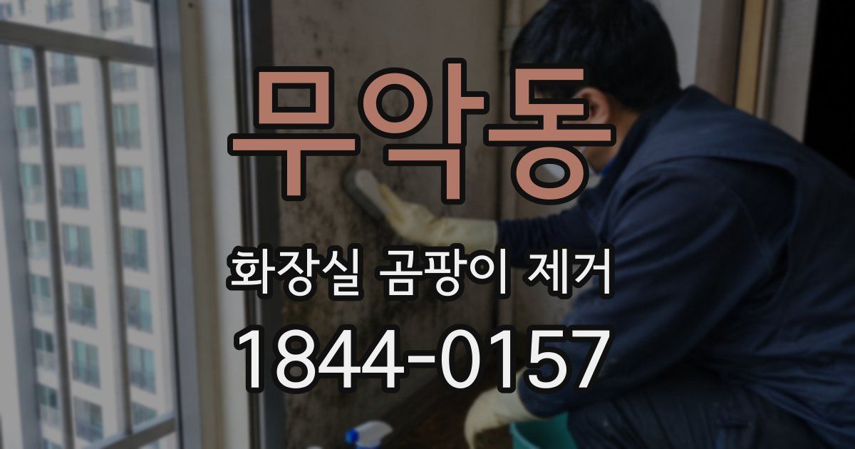 무악동 화장실 곰팡이 제거