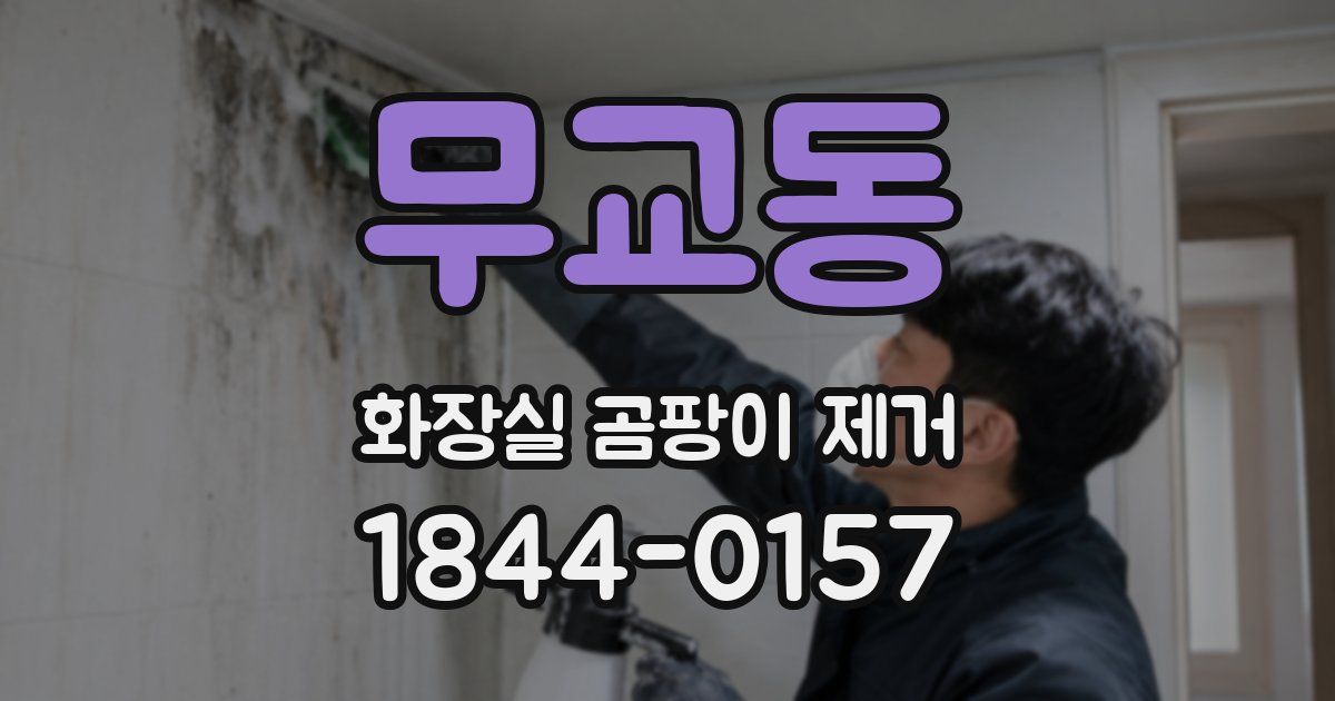 무교동 화장실 곰팡이 제거