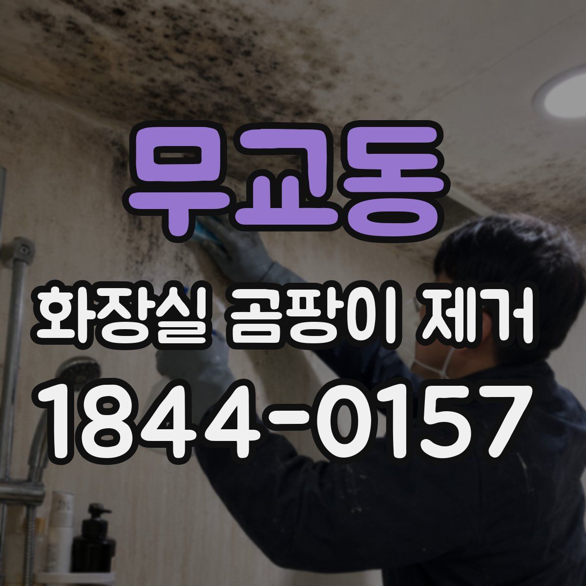 무교동 화장실 곰팡이 제거