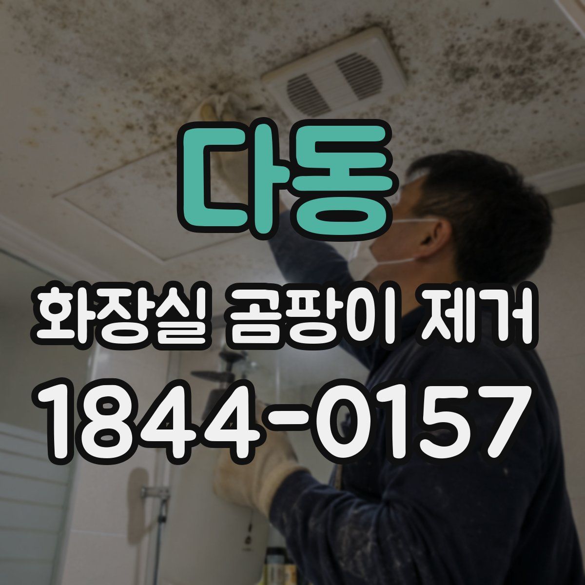 다동 화장실 곰팡이 제거