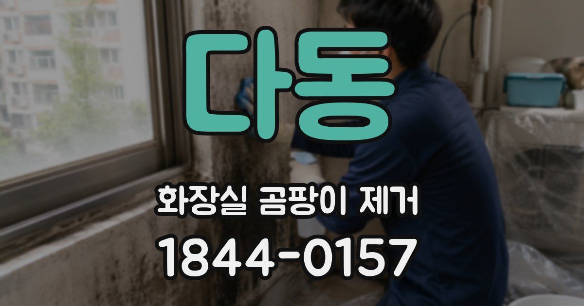 다동 화장실 곰팡이 제거