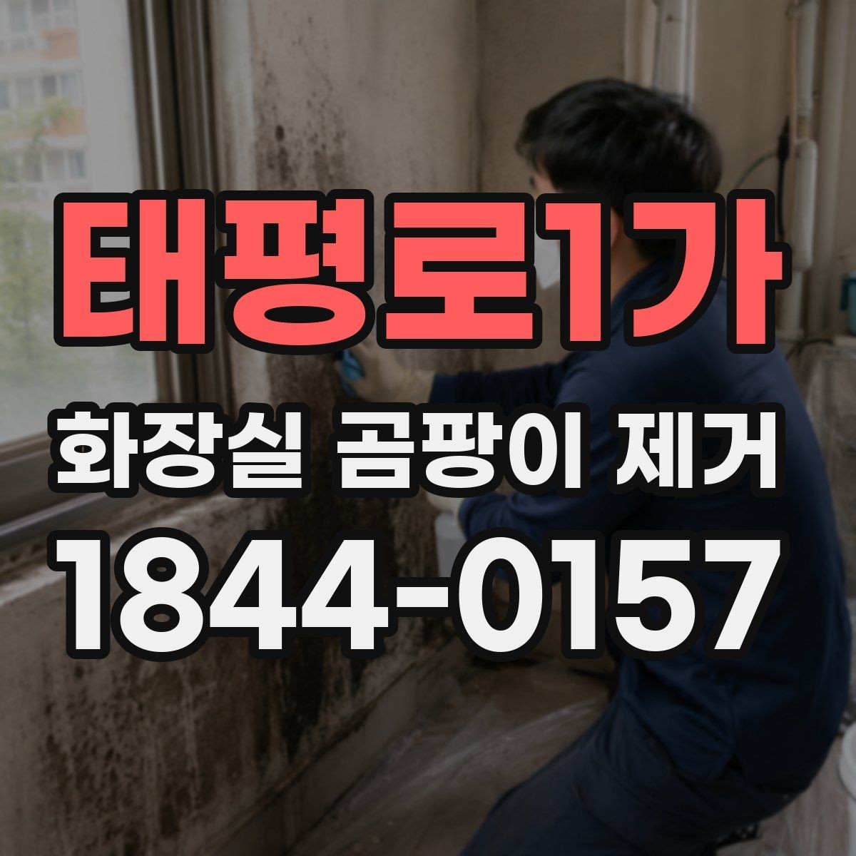 태평로1가 화장실 곰팡이 제거 배수구 주변 검은 자국의 원인과 관리 포인트