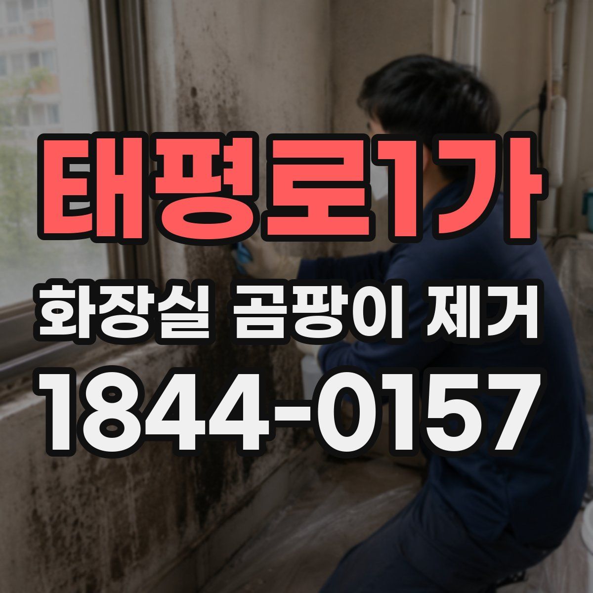 태평로1가 화장실 곰팡이 제거