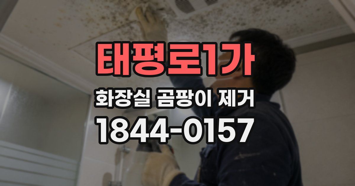 태평로1가 화장실 곰팡이 제거