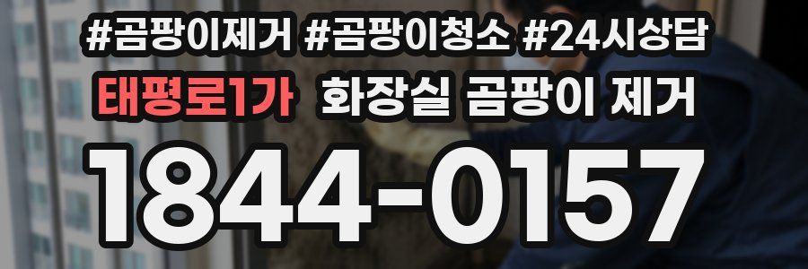 태평로1가 화장실 곰팡이 제거