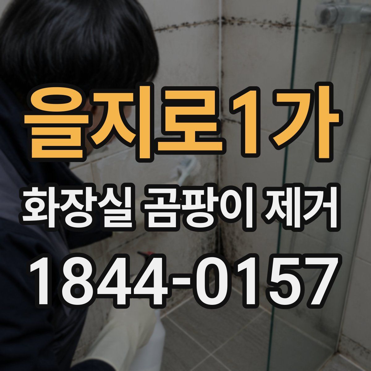 을지로1가 화장실 곰팡이 제거
