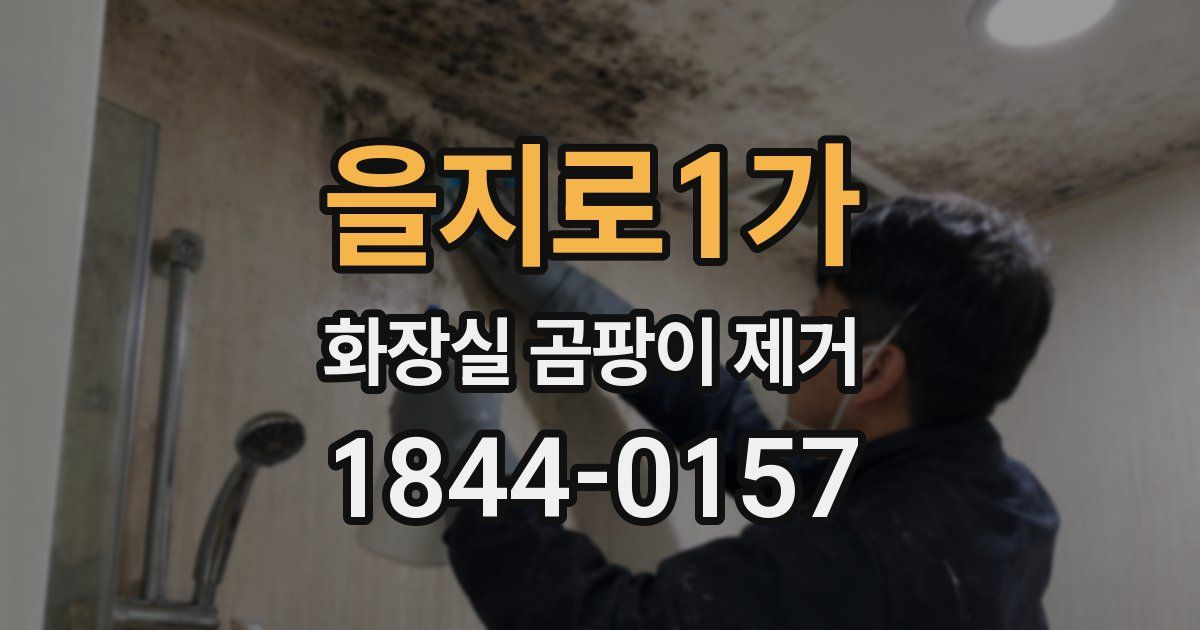 을지로1가 화장실 곰팡이 제거